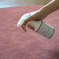 Carpet Cleaner