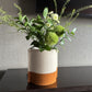 Vase Lina